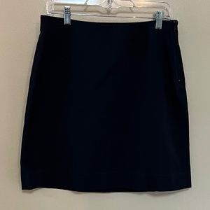 Navy Blue Skirt by Everlane - Size 12